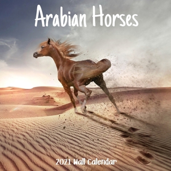 Arabian Horses 2021 Wall Calendar: Arabian Horses Calendar 2021, 18 Months