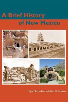 Paperback A Brief History of New Mexico Book