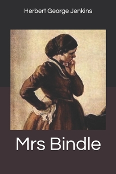 Paperback Mrs Bindle Book