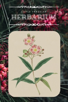 Little Traveler Herbarium: Empty Sketch Pages Journal / Notebook botanical collection - 6x9 inches (~DIN 5), 100 Pages