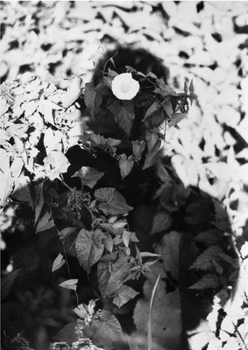 Paperback Jochen Lempert: Relación Book
