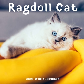 Paperback Ragdoll Cat Wall Calendar 2021: Ragdoll Cat Calendar 2021, 18 Months Book