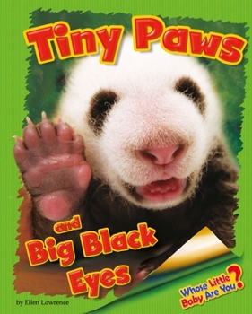 Tiny Paws and Big Black Eyes - Book  of the Whose Little Baby Are You?