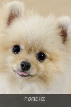 Paperback Pomchi: Complete breed guide Book