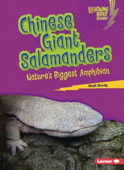 Paperback Chinese Giant Salamanders: Nature's Biggest Amphibian Book