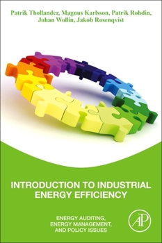 Paperback Introduction to Industrial Energy Efficiency: Energy Auditing, Energy Management, and Policy Issues Book
