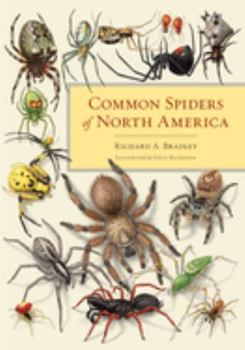 Paperback Common Spiders of North America Book