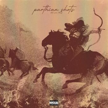 Vinyl Parthian Shots Book