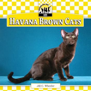 Library Binding Havana Brown Cats Book