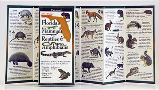 Paperback Florida's Mammals, Reptiles, and Amphibians Book