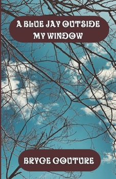 Paperback A Blue Jay Outside My Window Book