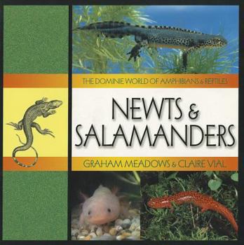 Paperback Newts & Salamanders Book