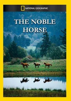 National Geographic: Noble Horse