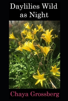 Paperback Daylilies Wild as Night Book