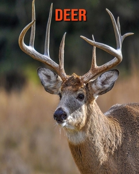 Deer: Beautiful Pictures & Interesting Facts Children Book About Deer