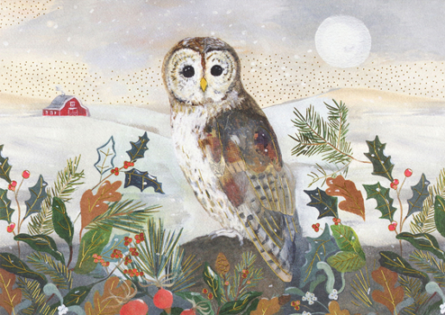 Hardcover Country Owl Deluxe Boxed Holiday Cards Book