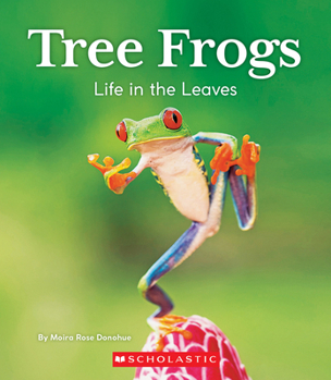 Library Binding Tree Frogs: Life in the Leaves (Nature's Children) Book