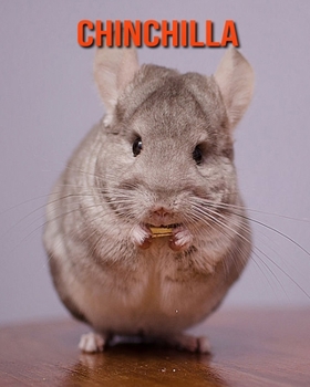 Paperback Chinchilla: Amazing Photos & Fun Facts Book About Chinchilla For Kids Book