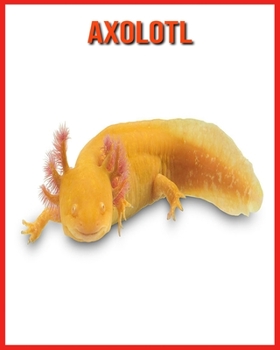 Paperback Axolotl: Informations Amusantes et Photos Etonnantes d'Animaux dans la Nature [French] Book