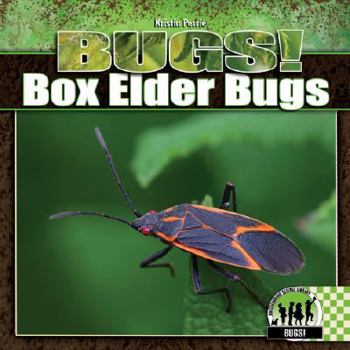 Library Binding Box Elder Bugs Book