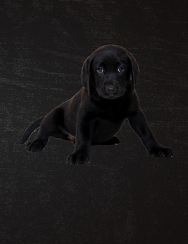 Daily Diary: Blank 2020 Journal Entry Writing Paper for Each Day of the Year | Labrador Puppy | January 20 - December 20 | 366 Dated Pages | A ... Your Life, Set Goals & Get Things Done