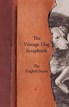 Paperback The Vintage Dog Scrapbook - The English Setter Book