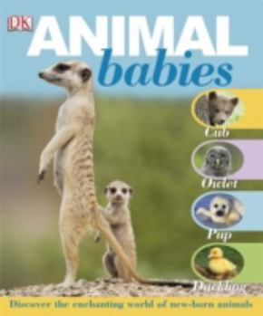 Hardcover Animal Babies Book