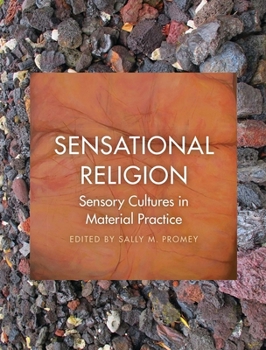 Paperback Sensational Religion: Sensory Cultures in Material Practice Book