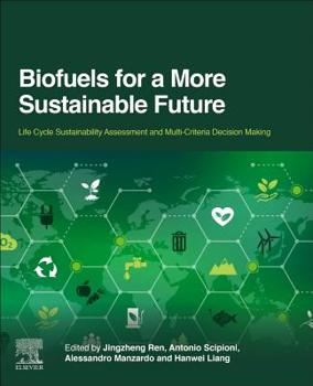 Paperback Biofuels for a More Sustainable Future: Life Cycle Sustainability Assessment and Multi-Criteria Decision Making Book