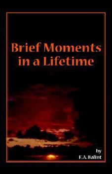 Paperback Brief Moments In A Lifetime Book