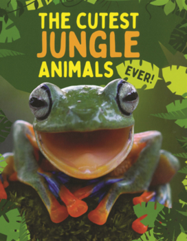 Cutest Jungle Animals Ever