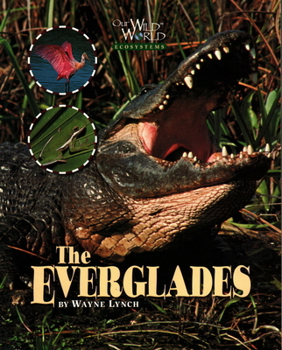 Paperback Everglades Book