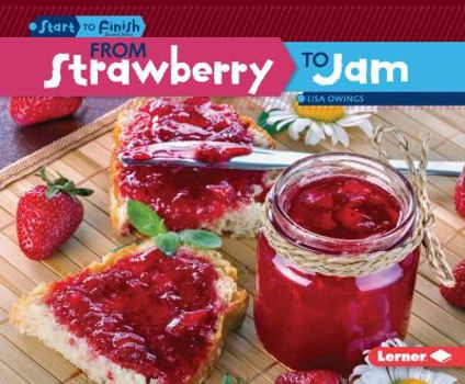 Library Binding From Strawberry to Jam [Large Print] Book