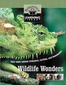 Hardcover Wildlife Wonders Book