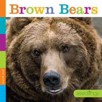 Paperback Seedlings: Brown Bears Book