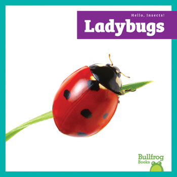 Ladybugs
