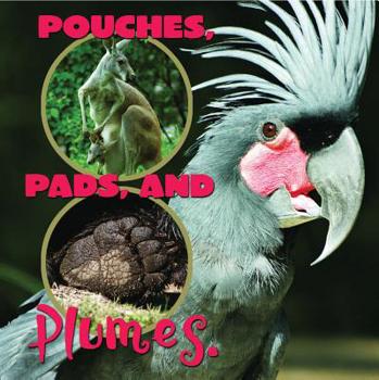 Hardcover Pouches, Pads, and Plumes (What Animals Wear) Book