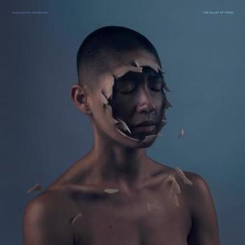 Vinyl The Valley Of Vision (LP) Book
