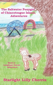 Paperback Ladybug's Secret Adventure Book