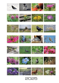 Paperback Stadtnatur: Wochenkalender 2025 [German] Book