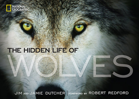 Hardcover The Hidden Life of Wolves Book