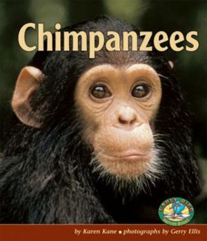 Chimpanzees (Early Bird Nature Books)