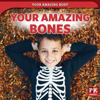 Paperback Your Amazing Bones Book