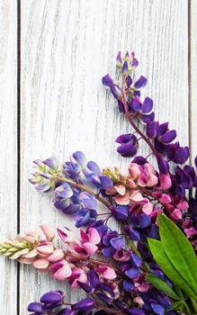 Lupine Floral Notebook: Beautiful Notebook With Floral Design | Lined Floral Journal Rustic Flower Journal Notebook | Gift Diary Gratitude | Floral ... 120 Pages Small (Floral Notebooks For Women)