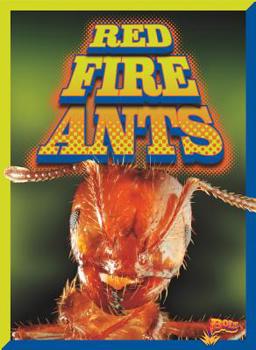 Paperback Red Fire Ants Book