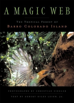 Hardcover A Magic Web: The Forest of Barro Colorado Island Book