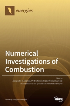 Hardcover Numerical Investigations of Combustion Book