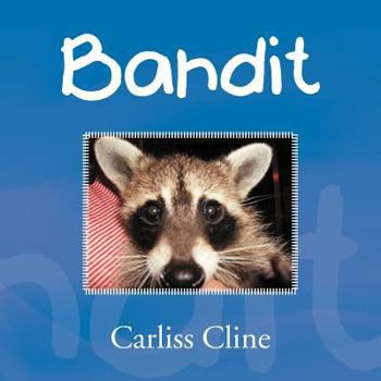 Paperback Bandit Book
