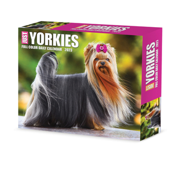 Calendar Yorkies 2023 Box Calendar Book