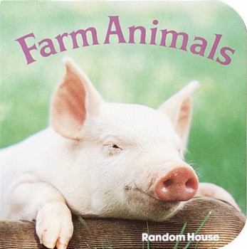 Board book Farm Animals Book